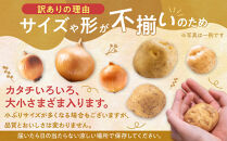 【先行予約】サイズ不揃い訳あり&nbsp;北の恵み玉ねぎ・じゃがいも&nbsp;合計約12kgセット（2026年9月下旬から発送予定）【&nbsp;芋&nbsp;玉葱&nbsp;野菜&nbsp;産地直送&nbsp;旬&nbsp;お取り寄せ&nbsp;詰め合わせ&nbsp;旭川市&nbsp;北海道&nbsp;】_02066