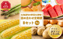【26年先行予約】北海道旬の野菜を満喫！詰め合わせ定期便Bセット(4回)_02068