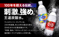 アサヒ飲料&nbsp;ウィルキンソン&nbsp;タンサン+レモン各1箱セット（500mlペットボトル×24本×2箱）【2026年2月以降のお届け予定】