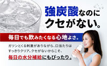 アサヒ飲料&nbsp;ウィルキンソン&nbsp;タンサン+レモン各1箱セット（500mlペットボトル×24本×2箱）【2026年2月以降のお届け予定】