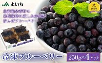 冷凍ブルーベリー 250g×4パック 北海道産