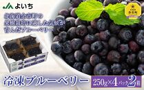 冷凍ブルーベリー 250g×4パック×2箱 北海道産