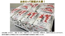 【冷蔵米】令和５年宮城県登米市産「ひとめぼれ」5kg×2袋 合計10kgセット