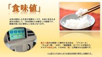 【冷蔵米】令和５年宮城県登米市産「ひとめぼれ」5kg×2袋 合計10kgセット