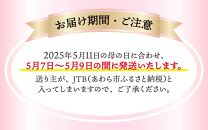 【40セット限定 先行予約】カーネーション 赤 5号 鉢植え 生花 ＜数量限定！想いを届ける母の日ギフト＞ ※2025年5月10日までにお届け