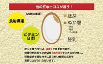 南魚沼産&nbsp;コシヒカリ&nbsp;普通に炊ける&nbsp;玄米&nbsp;2kg×2袋&nbsp;計4kg&nbsp;こしひかり&nbsp;新潟県&nbsp;米&nbsp;玄米食&nbsp;コメ&nbsp;こめ