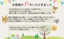 愛犬のごほうびに！　ワンバーグ　120ｇ×4