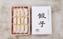 【野方餃子】 冷凍生餃子セット 10人前（60個）