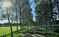 ペットと泊まれる民泊 BoniCaroB&B 2名様一泊分　宿泊券