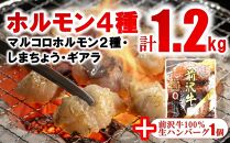 【10月1日以降価格改定】焼肉道ホルモン4種×2個セット(1.2kg)＋前沢牛ハンバーグ1個