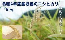 【数量限定】京丹後市産米　令和４年度収穫のコシヒカリ5kg！冷めても美味しい特別栽培のお米