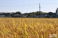 神戸で有機栽培した冷めても美味しいお米「みどり豊」2kg