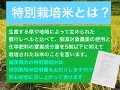 【令和6年度産新米】新潟県減農薬特別栽培米コシヒカリ 5kg