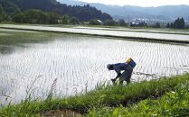 【令和6年産＼新米／】雪国の恵み 南魚沼産こしひかり5kg＜クラウドファンディング対象＞