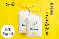 【令和6年産】最高金賞 南魚沼産コシヒカリ 白米5kg×2 もっちり甘い！ ひらくの里ファーム＜クラウドファンディング対象＞