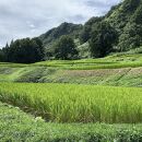 南魚沼塩沢コシヒカリ【西山の天水田米】精米5kg＜クラウドファンディング対象＞