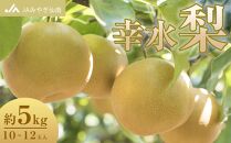 【JAみやぎ仙南】梨「幸水」約5kg (10～12玉入)