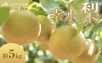 【JAみやぎ仙南】梨「幸水」約5kg&nbsp;（約12～16玉)