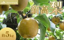 【JAみやぎ仙南】梨「新高」約5kg&nbsp;(約8～10玉入)