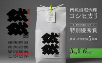 新米予約【令和8年産】【定期便】南魚沼塩沢産コシヒカリ「然然」　農薬5割減栽培　精米5kg&nbsp;x&nbsp;全6回【2026年10月上旬から1ヶ月以内に順次発送予定】