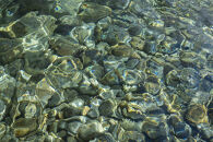 新米予約【令和8年産】【定期便】南魚沼塩沢産コシヒカリ「然然」　農薬5割減栽培　無洗米5kg&nbsp;x&nbsp;全6回【2026年10月上旬から1ヶ月以内に順次発送予定】