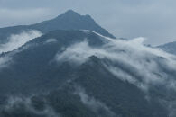 新米予約【令和8年産】【定期便】南魚沼塩沢産コシヒカリ「然然」　農薬5割減栽培　無洗米10kg（5kg&nbsp;x&nbsp;2）&nbsp;x&nbsp;全12回【2026年10月上旬から1ヶ月以内に順次発送予定】