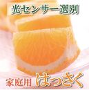 ［先行予約］家庭用&nbsp;はっさく2.5kg+250g（傷み補償分）【八朔みかん】【訳あり・わけあり】［IKE28］