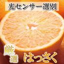 ＜4月より発送＞厳選 樹上完熟はっさく5kg+150g（傷み補償分）【八朔】【さつき・木成】