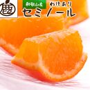 家庭用&nbsp;セミノールオレンジ10kg+250g（傷み補償分）［春みかん］［訳あり］［光センサー食べ頃出荷］［IKE274］