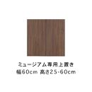 ミュージアム 幅80cm 上置き 高さオーダー 高さ61～80cm 高級 大川家具 壁面収納   【開梱設置】