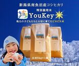 新潟県南魚沼産　特別栽培米 「YouKey 米」 5kg（精米）