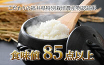 【令和6年産 新米】《定期便12回》コシヒカリ 精米 5kg （計60kg）特別栽培米 農薬不使用 化学肥料不使用 ／ 高品質 鮮度抜群 福井県産 ブランド米 白米