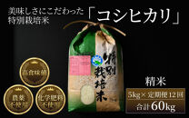 【令和6年産 新米】《定期便12回》コシヒカリ 精米 5kg （計60kg）特別栽培米 農薬不使用 化学肥料不使用 ／ 高品質 鮮度抜群 福井県産 ブランド米 白米