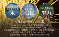 【令和6年産 新米】《定期便12回》コシヒカリ 精米 5kg （計60kg）特別栽培米 農薬不使用 化学肥料不使用 ／ 高品質 鮮度抜群 福井県産 ブランド米 白米