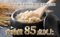 【令和6年産 新米】《定期便12回》コシヒカリ 玄米 5kg （計60kg）特別栽培米 農薬不使用 化学肥料不使用 ／ 高品質 鮮度抜群 福井県産 ブランド米 玄米