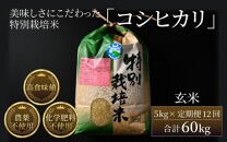 【令和6年産 新米】《定期便12回》コシヒカリ 玄米 5kg （計60kg）特別栽培米 農薬不使用 化学肥料不使用 ／ 高品質 鮮度抜群 福井県産 ブランド米 玄米