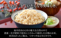 【令和6年産 新米】《定期便12回》コシヒカリ 玄米 5kg （計60kg）特別栽培米 農薬不使用 化学肥料不使用 ／ 高品質 鮮度抜群 福井県産 ブランド米 玄米