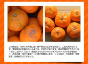 ［先行予約］訳ありみかん 約5kg（箱込み）　和歌山県産