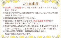 訳あり八朔&nbsp;約&nbsp;8kg（箱込み）&nbsp;和歌山県産