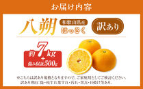 訳あり八朔&nbsp;約&nbsp;8kg（箱込み）&nbsp;和歌山県産