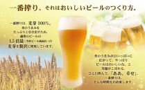 キリン一番搾り生ビール 神戸工場産 一番搾り生ビール 500ml×24缶（１ケース） キリンビール 神戸市 お酒 ビール ギフト E1208-01