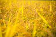 【令和7年産】&nbsp;南魚沼産コシヒカリ「特別栽培米（アファス認証）」精米5kg×２袋【新潟県&nbsp;特A地区】