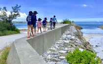 【ハイシーズンプラン】子供だけのBus遠足７時間 沖縄の自然で五感体験！送り迎え付き｜★事前予約要★ チケット 券 体験 自然 リゾート 遠足 ふるさと納税 恩納村 沖縄 人気 おすすめ 送料無料