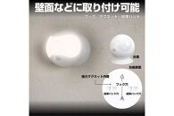 LEDセンサー付ライト　電球色・白色　防雨　電池式　PM-L750W