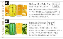 Y.MARKET&nbsp;BREWING&nbsp;&nbsp;毎月6本【3カ月定期便】&nbsp;定番・限定詰め合わせセット&nbsp;ギフトやプレゼントにも！