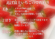 『近江富士いちご』選りすぐり！華の美味しいイチゴ定期便【9～15粒1トレイ×4回】