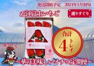 『近江富士いちご』選りすぐり！華の美味しいイチゴ定期便【9～15粒1トレイ×4回】