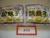 【中華工房 点心点】博多一口餃子50個入×２袋