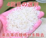 10kg（5kg×2）大手有名百貨店出荷米 あきたこまち 令和5年産米