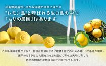 厳選！早春の香り！完熟はるか 家庭用（約3kg）2025年2月中旬～3月上旬 発送予定 フルーツ お取り寄せ 産地直送 もりの農園 ドルチェみかん